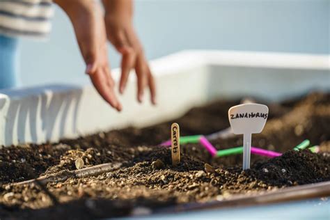 Plant a Seed Day Activities & Resources - Big Green