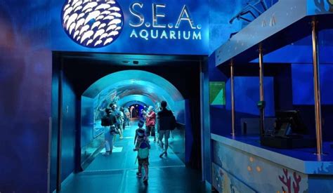 S.E.A Aquarium Singapore: Lạc vào thế giới đại dương kỳ thú