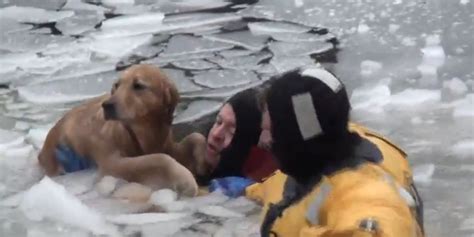 Firefighters Take Icy Plunge To Rescue Dog In Heartwarming Video | HuffPost