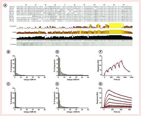 Identification of full-length single-domain antibody sequences by ...