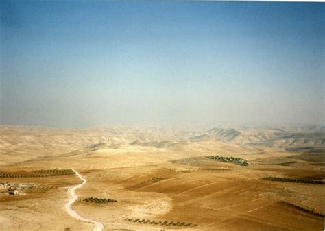 some LANDSCAPES: Palestinian Walks