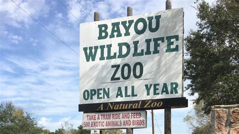 Bayou Wildlife Zoo near Houston hunting for buyer - Houston Business Journal