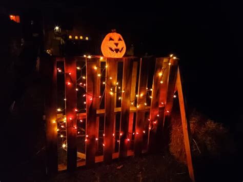 My DBD Themed Halloween Display This Year : r/deadbydaylight