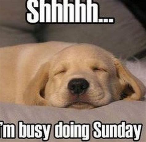 27 Funny Sunday Memes That Are Perfect for Lazy Sundays