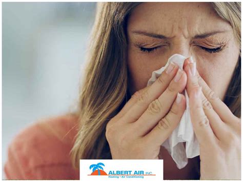 Air Purifiers: Can They Really Help Relieve Allergies?