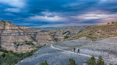 Hiking North Dakota: Bison Encounters and Petrified Forest Adventures ...