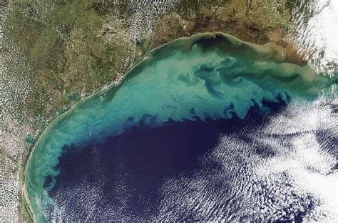 Gulf of Mexico Dead Zone Largest in over 30 Years | Calcasieu Parish News