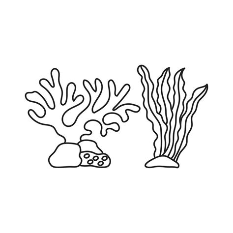 Hand drawn Kids drawing Cartoon ocean plants. Anemones, corals and seaweed, marine kelp ...