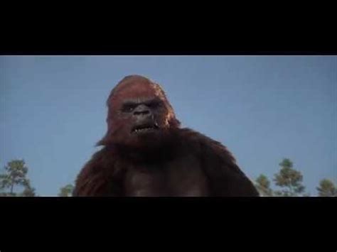 King Kong Lives Lady Kong