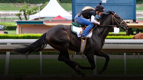 ‘Tough Game for Women’: Female Jockeys Missing Again at Triple Crown – NBC Los Angeles