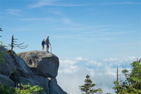 【世界遺産】グレート・スモーキー山脈、生物多様性を凝縮したアメリカの国立公園 - おすすめ旅行を探すならトラベルブック(TravelBook)