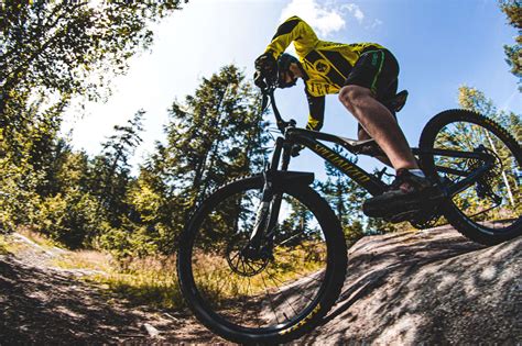 15 Best Beginner Mountain Bikes With Reviews | Nourished By Life