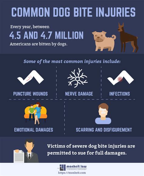 Common Dog Bite Injuries | Pennsylvania Dog Bite Lawyers