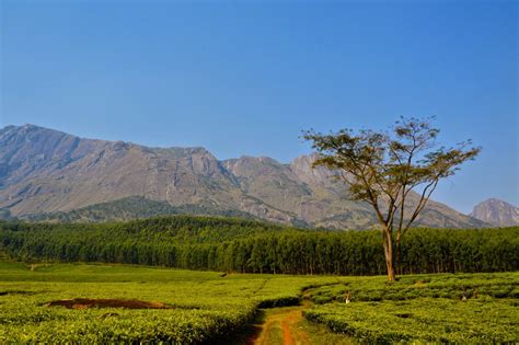 Mulanje Mountain Trek: The Beginning