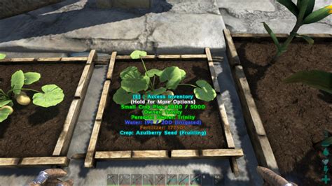 Azulberries & Seeds - Ark: Survival Evolved