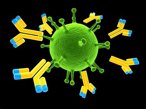 배고픈 늑대: 항원(Antigen)과 항체(Antibody)