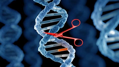 CRISPR gene editing explained: What is it and how does it work? - CNET