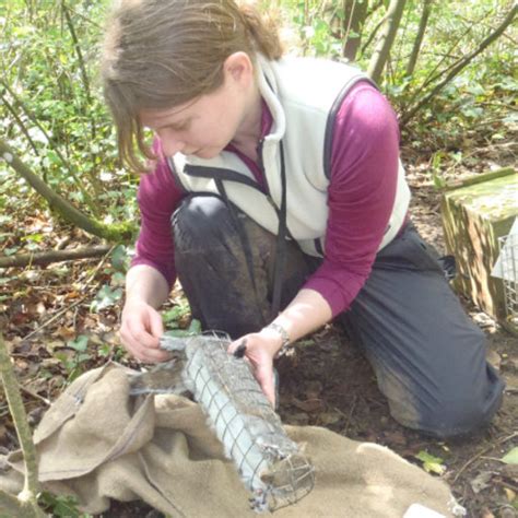 Emily GOLDSTEIN | Research Ecologist | PhD, MSc, BA | Environmental ...