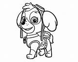 Paw Coloring Book Pages sketch template