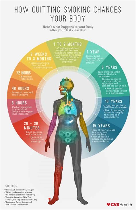 What Happens To Your Body After Your Last Cigarette | Daily Infographic