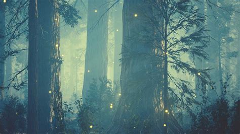 13 Books About Magical Forests with Captivating Covers - The Maidstone Chronicles