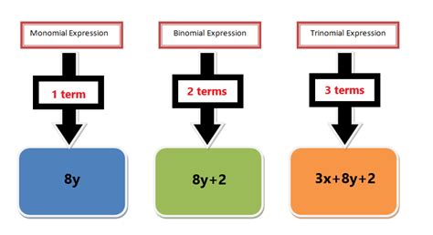 Greatest Common Monomial Factor — Explanation and Examples - The Story of Mathematics - A ...