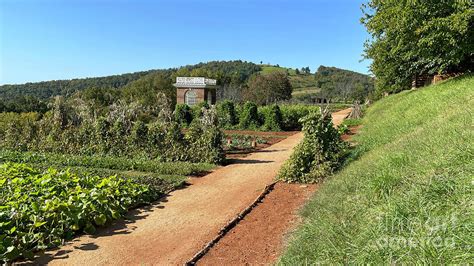 Monticello Vegetable Gardens 3308 Photograph by Jack Schultz - Pixels