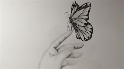 Hand Holding Butterfly, Hand Holding Butterflies Royalty Free Vector Image - Hands holding a ...