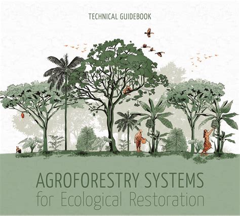 Agroforestry Systems for Ecological Restoration - Forests, Trees and Agroforestry