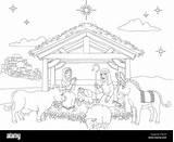 Update More Than 76 christmas crib Drawing Images Super Hot  Xkldase sketch template