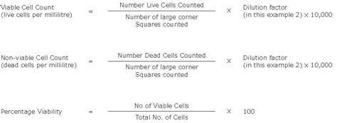 Cell Counting Using a Hemocytometer