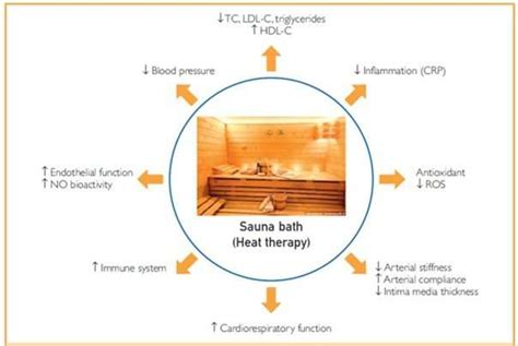 Frequent sauna bathing has many health benefits, new literature review finds