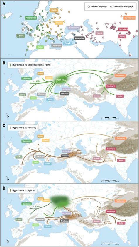 Emergence of Indo-European Languages around 8000 years ago