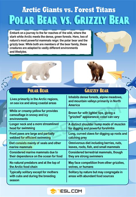 Polar Bear vs. Grizzly Bear: Difference between these Bears • 7ESL