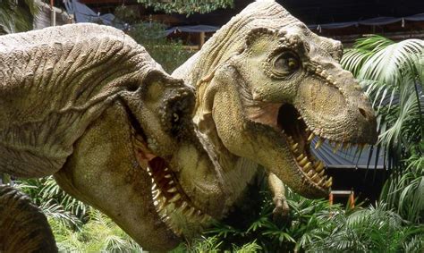 Tyrannosaurus rex (Buck) | Wiki | Jurassic Park Amino