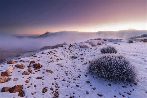 In pictures: How Saudi Arabia’s TROJENA mega project will redefine mountain tourism for the world