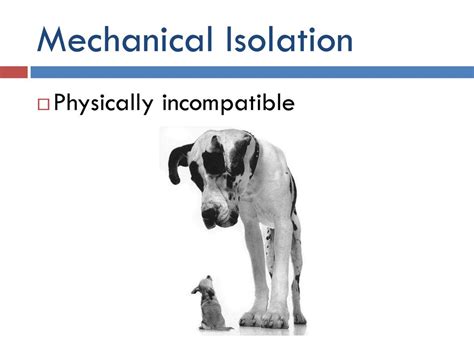 SPECIES AND SPECIATION - ppt download