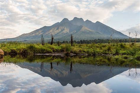 Biodiversity Monitoring | Rwanda - Volcanoes National Park | ACCF