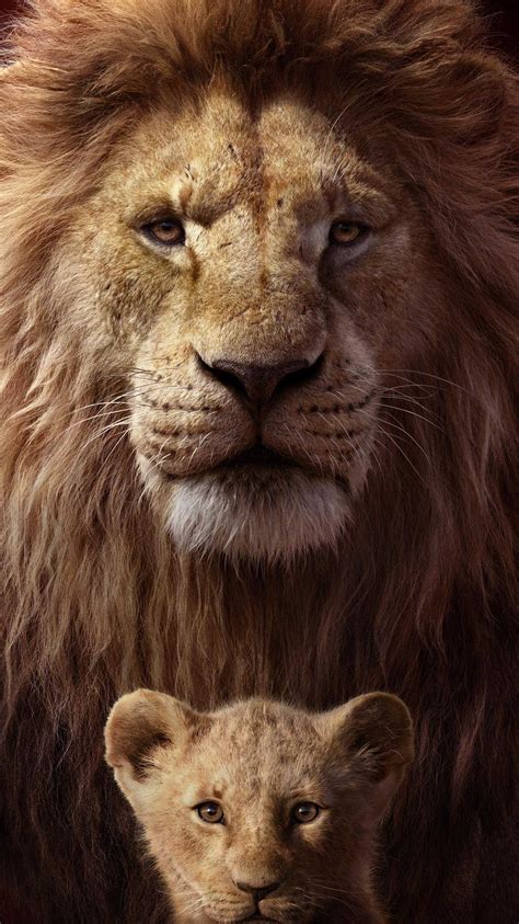 Lion Family Wallpapers - 4k, HD Lion Family Backgrounds on WallpaperBat