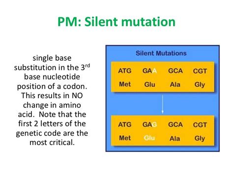 MIC150 - Chap 4 Mutation