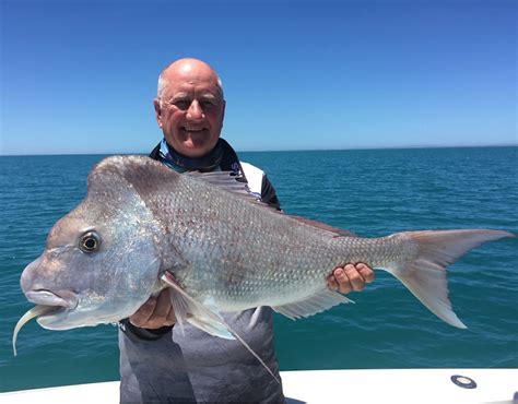 Shark Bay Trophy Pink Snapper – Tackle Tactics