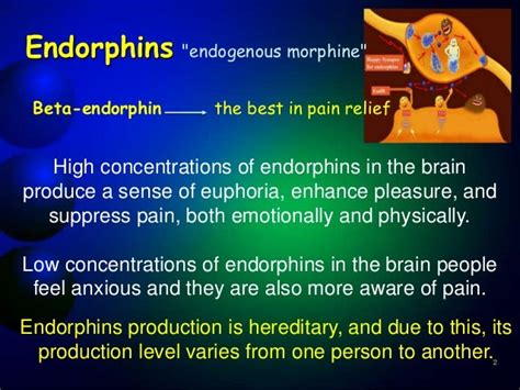 presentation on Endorphin hormone