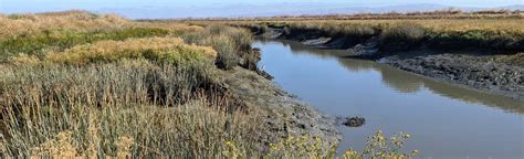 San Francisco Bay Trail Loop at Sunnyvale Baylands Park, California ...