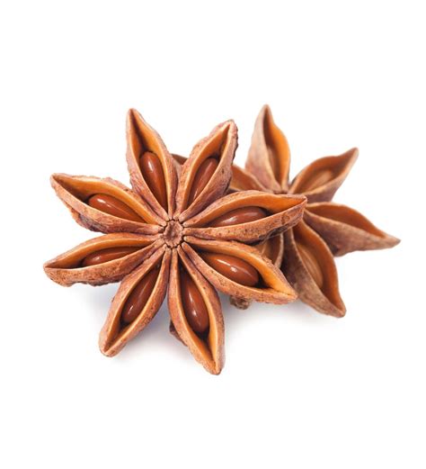 Star Anise Star Anise Pods Natural Fresh Star Anise - Etsy