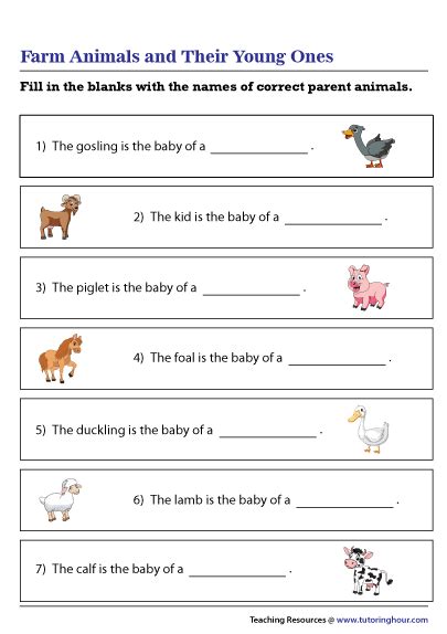 Farm Animals and Their Young Ones Worksheet