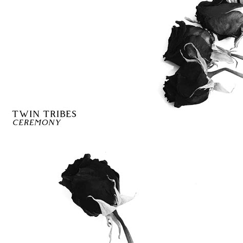 Listen to Twin Tribes "Ceremony"—One of the best Darkwave Albums Released in 2019 — Post-Punk.com