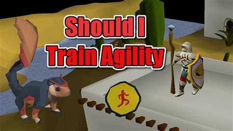 Agility training osrs guide