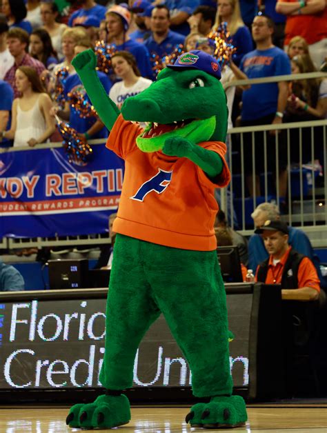 NCAA Basketball: Florida State at Florida | Gators Wire