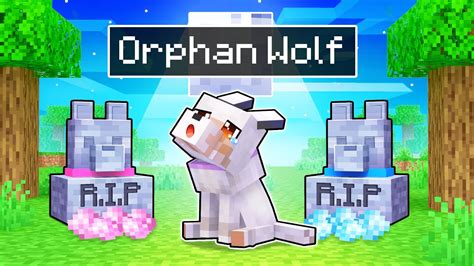 Aphmau Is An ORPHAN WOLF In Minecraft! - Minecraft videos