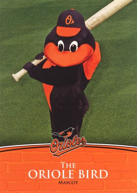 mlb-baltimore-orioles-mascot-oriole-bird - SportMascots.com